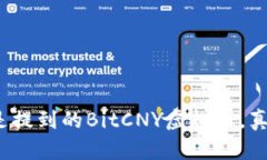 对话中总是提到的BitCNY虚拟币，真相是什么？