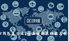 TP钱包是什么？全面解析其功能与优势
