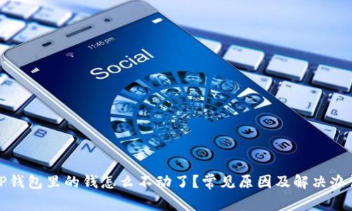 TP钱包里的钱怎么不动了？常见原因及解决办法