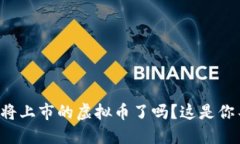 你准备好迎接即将上市的虚拟币了吗？这是你不