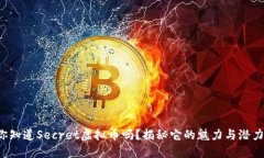你知道Secret虚拟币吗？揭秘它的魅力与潜力！