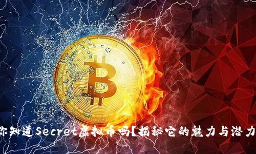 你知道Secret虚拟币吗？揭秘它的魅力与潜力！