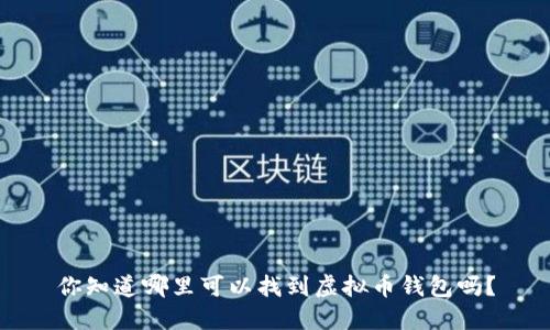 你知道哪里可以找到虚拟币钱包吗？