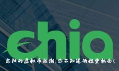 东阳的虚拟币热潮：你不知道的投资机会！