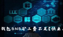为什么你的TP钱包BNB矿工费不足？快来看看解决方