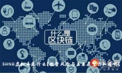 SHND虚拟币是什么？投资风险与未来展望你知道吗