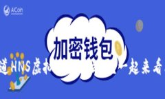 想知道HNS虚拟币是什么吗？一起来看看吧！