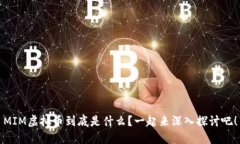 MIM虚拟币到底是什么？一起来深入探讨吧！