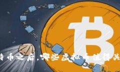 比特币之后，哪些虚拟币值得关注？