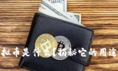 “BPTN虚拟币是什么？揭秘它的用途与潜力！”