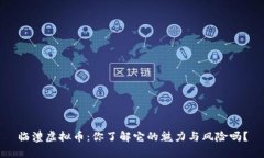 临澧虚拟币：你了解它的魅力与风险吗？
