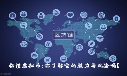 临澧虚拟币：你了解它的魅力与风险吗？