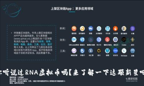 你听说过RNA虚拟币吗？来了解一下这颗新星吧！