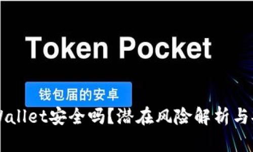 申请TPWallet安全吗？潜在风险解析与安全建议
