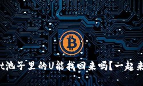 tpwallet池子里的U能找回来吗？一起来探讨吧！