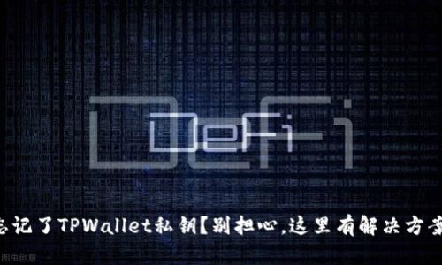 忘记了TPWallet私钥？别担心，这里有解决方案！