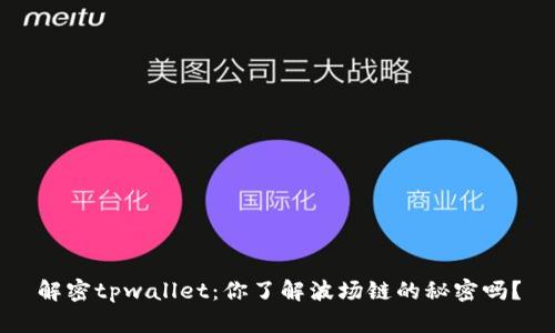 解密tpwallet：你了解波场链的秘密吗？