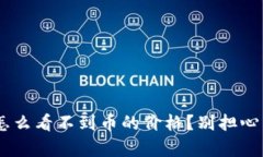 TPWallet里怎么看不到币的价格？别担心，这里有解
