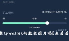 你知道怎么下载tpwallet的教程图片吗？来看看这些