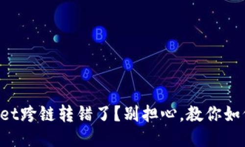 TPWallet跨链转错了？别担心，教你如何找回！